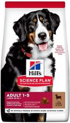 Hill's Sience Plan Large Breed Adult suņu barība ar jēru un rīsiem, 14 kg цена и информация | Сухой корм для собак | 220.lv