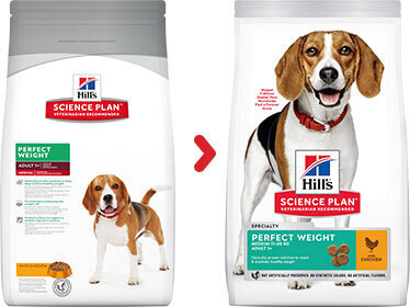 Hill's Science Plan Perfect Weight Medium Adult suņu barība ar vistu, 12 kg цена и информация | Sausā barība suņiem | 220.lv