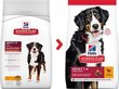 Hill's Sience Plan Large Breed Adult suņu barība ar vistu, 14 kg цена и информация | Sausā barība suņiem | 220.lv