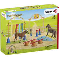 Тренировка пони на выносливость Schleich Farm World цена и информация | Игрушки для девочек | 220.lv