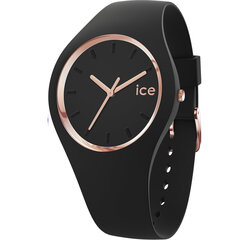 Pulkstenis sievietēm un vīriešiem Ice-Watch ICE.GL.BRG.U.S.14 000980 цена и информация | Женские часы | 220.lv