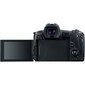 Canon EOS R RF 24-105mm f/4L IS USM ar adapteri EF - EOS R cena un informācija | Digitālās fotokameras | 220.lv