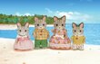 Svītraino kaķīšu ģimenīte Sylvanian Families цена и информация | Rotaļlietas meitenēm | 220.lv