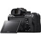 Sony Alpha A7 III Body cena un informācija | Digitālās fotokameras | 220.lv