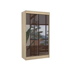 Шкаф Adrk Furniture Tamos 120 см, коричневый/цвета дуба цена и информация | Шкафы | 220.lv
