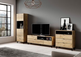ТВ шкафчик Halmar Nest RTV-1, коричневый/черный цена и информация | Тумбы под телевизор | 220.lv