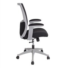 Офисное кресло Lumina, серое/черное цена и информация | Офисные кресла | 220.lv