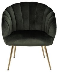 Кресло Daniella, зеленое цена и информация | Кресла в гостиную | 220.lv