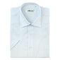 Vīriešu krekls NORDIC - Ar īsām piedurknēm cena un informācija | Vīriešu krekli | 220.lv