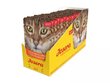 Josera burkānu un spinātu zupa kaķiem 16x70 g cena un informācija | Konservi kaķiem | 220.lv