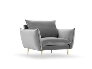 Кресло Milo Casa Elio, светло-серое цена и информация | Кресла в гостиную | 220.lv
