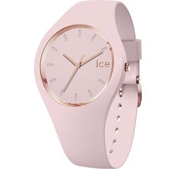 Женские часы Ice-Watch 001069 цена и информация | Женские часы | 220.lv