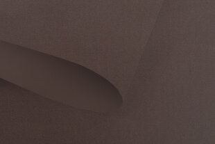 Не пропускающая свет рулонная штора Blackout, 100x170 см, pg-10 коричневая цена и информация | Рулонные шторы | 220.lv