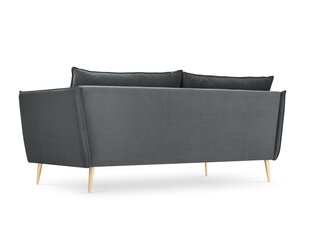 Dīvāns Micadoni Home Agate 3S, pelēks/zelta krāsas cena un informācija | Dīvāni | 220.lv