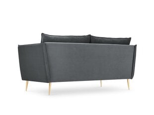 Dīvāns Micadoni Home Agate 2S, pelēks/zelta krāsas cena un informācija | Dīvāni | 220.lv