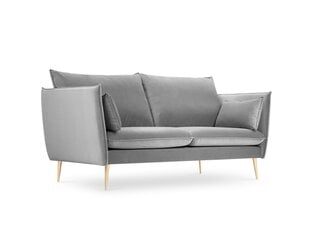 Dīvāns Micadoni mājas ahāts 2S, gaiši pelēks/zelta krāsas cena un informācija | Dīvāni | 220.lv