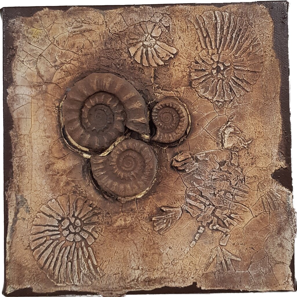 Silikona forma Fossil, 30 mm cena un informācija | Modelēšanas un zīmēšanas piederumi | 220.lv