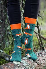 Носки FOXY хлопковые, темно-зеленые цена и информация | Мужские носки | 220.lv