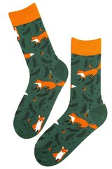 Носки FOXY хлопковые, темно-зеленые цена и информация | Мужские носки | 220.lv
