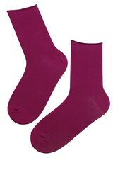 Мужские носки Olev, фиолетовые цена и информация | Мужские носки | 220.lv