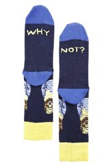 Носки WHY NOT хлопковые, темно-синие цена и информация | Мужские носки | 220.lv