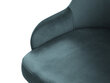 Krēsls Micadoni Home Flint, zils cena un informācija | Virtuves un ēdamistabas krēsli | 220.lv