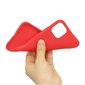 Silicone Case Soft Flexible Rubber Cover for iPhone 11 Pro red (Red) цена и информация | Telefonu vāciņi, maciņi | 220.lv