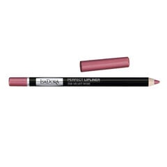 Контурный карандаш для губ Isadora Perfect 1,2 г, 206 Velvet Rose цена и информация | Помады, бальзамы, блеск для губ | 220.lv