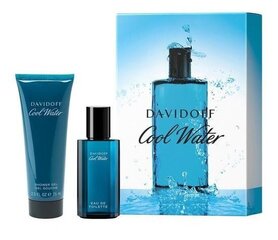 Komplekts Davidoff Cool Water Man: EDT vīriešiem 40 ml + dušas želeja 75 ml цена и информация | Мужские духи | 220.lv