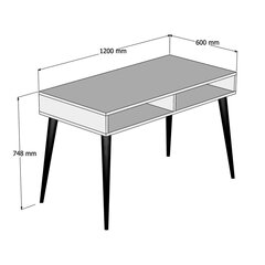 Письменный стол Kalune Design Novo, коричневый цена и информация | Компьютерные, письменные столы | 220.lv