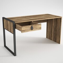 Письменный стол Kalune Design Lost, коричневый цена и информация | Компьютерные, письменные столы | 220.lv