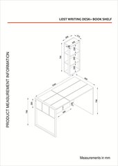 Комплект письменного стола и полки Kalune Design Lost Rafli, коричневый цена и информация | Компьютерные, письменные столы | 220.lv