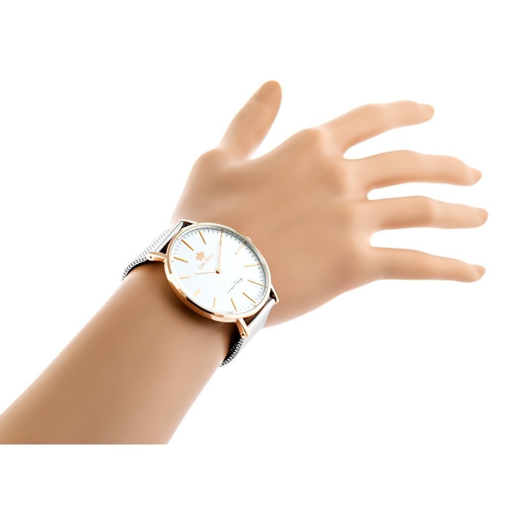 Sieviešu rokas pulksteņi GINO ROSSI GR11014A3E2 cena un informācija | Sieviešu pulksteņi | 220.lv