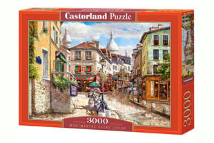 Пазл Castorland Puzzle Montmartre Sacre Coeur, 3000 д. цена и информация | Пазлы | 220.lv