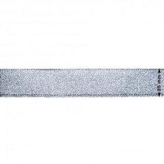 Металлизированная тканая лента RainBow® 25 мм, цвет серебра, 3 м цена и информация | Упаковочные материалы для подарков | 220.lv