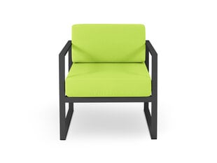 Уличное кресло Calme Jardin Nicea, светло-зеленое/темно-серое цена и информация | Садовые стулья, кресла, пуфы | 220.lv