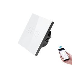 Smart Wi-Fi настенный выключатель 2-х позиционный, дистанционно управляемый Smart Home цена и информация | Системы безопасности, контроллеры | 220.lv