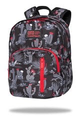 Рюкзак CoolPack Discovery Gringo C38254 цена и информация | Школьные рюкзаки, спортивные сумки | 220.lv