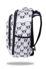 Mugursoma CoolPack Turtle French Bulldogs C15247 cena un informācija | Skolas somas | 220.lv