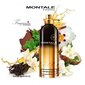 Parfimērijas ūdens Montale Paris Leather Patchouli EDP sievietēm/vīriešiem 100 ml cena un informācija | Sieviešu smaržas | 220.lv