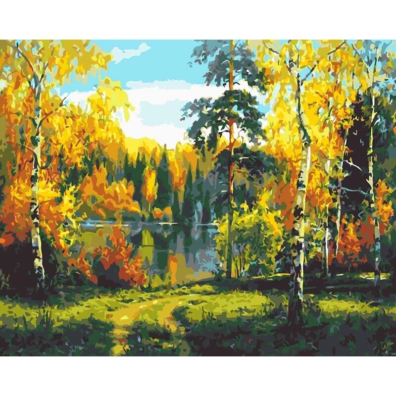 Gleznošanas komplekts pēc numuriem - Uz meža ezera, 40x50 cena un informācija | Gleznas pēc numuriem | 220.lv