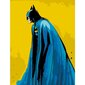Gleznošanas komplekts - Betmens 1, 40x50 cena un informācija | Gleznas pēc numuriem | 220.lv