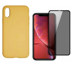 Силиконовый чехол «SoundBerry» Full protection + защитное стекло Privacy для iPhone X/XS цена и информация | Чехлы для телефонов | 220.lv