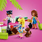 41429 LEGO® Friends Hārtleikas pilsētas lidmašīna цена и информация | Konstruktori | 220.lv