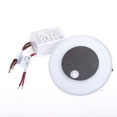 Eko-Light светильник для лестниц Oti 3000K PIR. 12V цена и информация | Настенные светильники | 220.lv