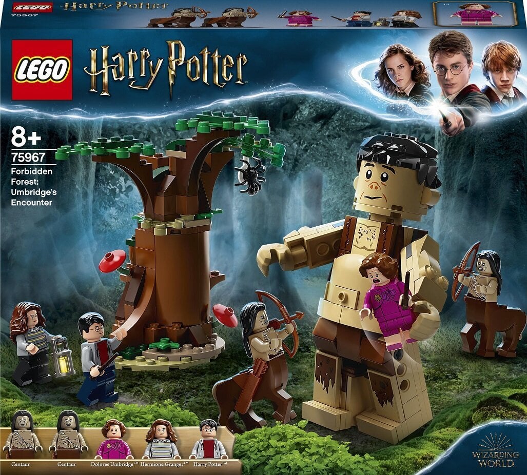 75967 LEGO® Harry Potter Sastapšanās ar Ambrāžu цена и информация | Konstruktori | 220.lv