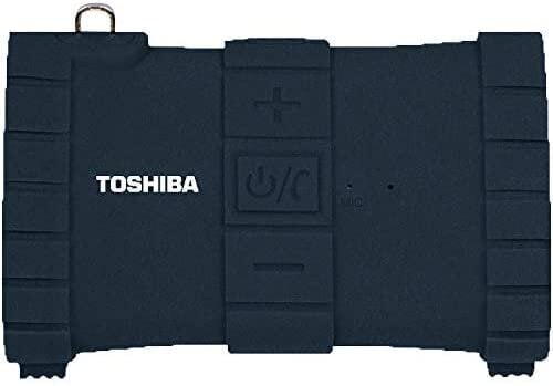 Skaļrunis Toshiba Sonic Dive 2 TY-WSP100, melns cena un informācija | Skaļruņi | 220.lv