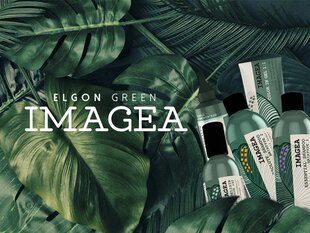 Dabīga maska ​​krāsotiem matiem ELGON IMAGEA ABSOLUTE 200 ml цена и информация | Средства для укрепления волос | 220.lv