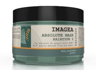 Dabīga maska ​​krāsotiem matiem ELGON IMAGEA ABSOLUTE 200 ml cena un informācija | Matu uzlabošanai | 220.lv