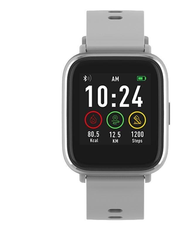 Viedpulkstenis Denver Electronics SW-161GREY 1,3" IPS 200 MAH цена и информация | Viedpulksteņi (smartwatch) | 220.lv